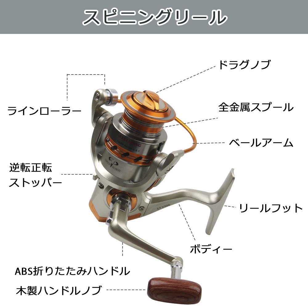 Amazon | SHADDOCK エギング イカ釣り 即釣りロッドリールセット